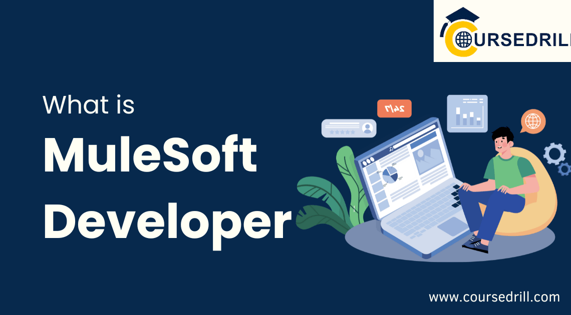 What is MuleSoft Developer