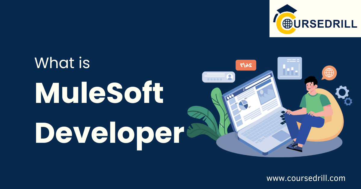 What is MuleSoft Developer