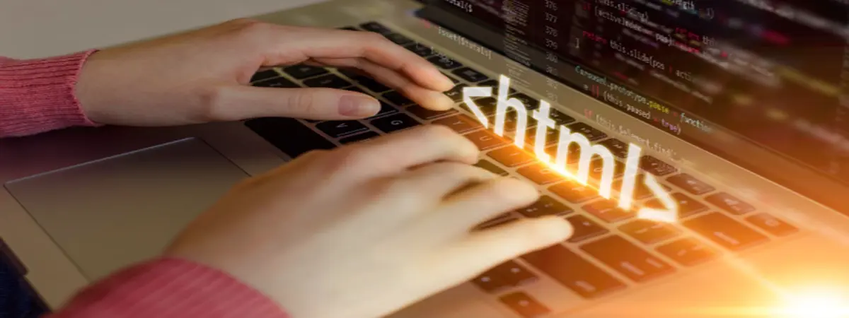 Front-End vs Back-End Coding